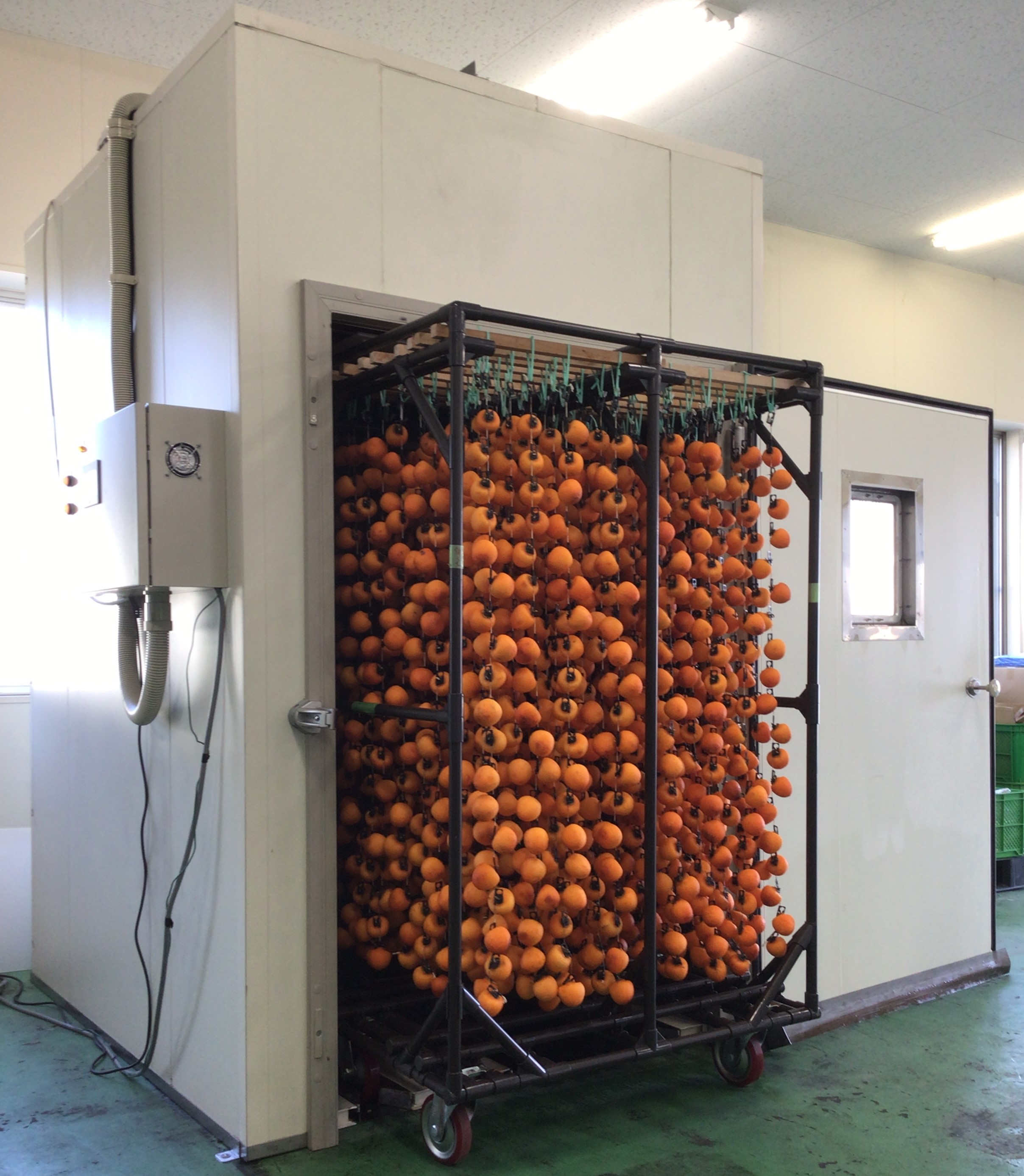 楽天市場】富山 三社柿 あんぽ柿 2L 秀品 (8玉) 富山産 あんぽ